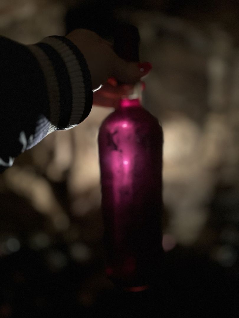 Lichtdurchfluteter Wein