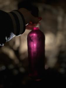 Lichtdurchfluteter Wein